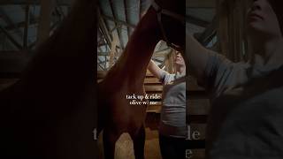 hope yall had an amazing day 🤍 horse tack vlog equestrain saddleseat [upl. by Talanta]