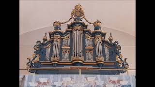 Swedish Romantic Organ Music played by Riccardo Gnudi at Hammar Church Sweden [upl. by Ferrigno]