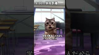 【猫ミーム】中学生の休日の1日ルーティーン猫ミーム shorts [upl. by Sykleb]