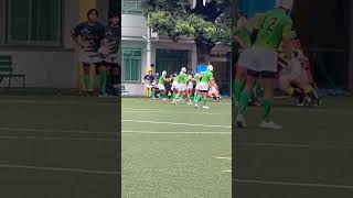 高校ラグビー全国大会予選・明治学院東村山🆚桐朋 [upl. by Akinehc341]