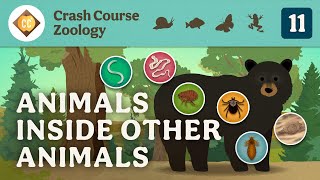 Parasites Crash Course Zoology 11 [upl. by Natty]