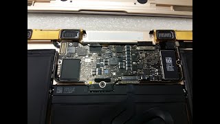 Macbook A1534 No power in [upl. by Helsell]