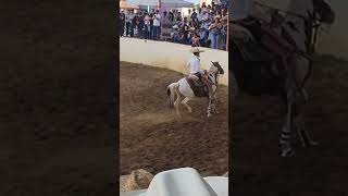 La feria de Atolinga Zacatecas [upl. by Korella]