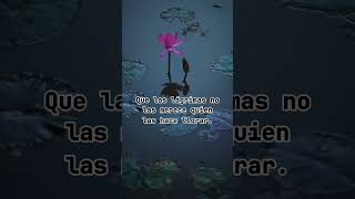 Hoy aprendifrases de vidafrasesdereflexion frases [upl. by Gerrit]