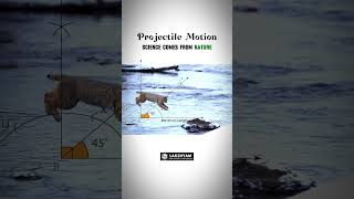 Projectile motion Example Video For Students  Lakshyam Coaching [upl. by Attenov]