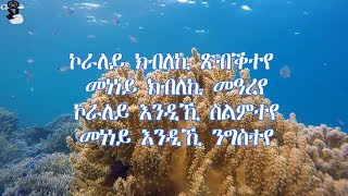 Kaleab Teweldemedhin  koraley Lyrics Video [upl. by Adaner277]