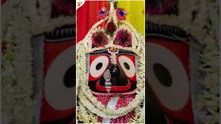 Jagannath Puri Temple Darshan  Jagannath Puri  live Darshan shorts puja [upl. by Olli659]