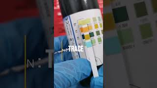 Urine dipstick test [upl. by Adnicaj]