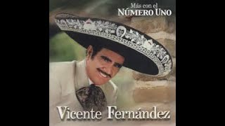 VICENTE FERNANDEZ AY AMIGO por Salvador Arguell [upl. by Oralla358]