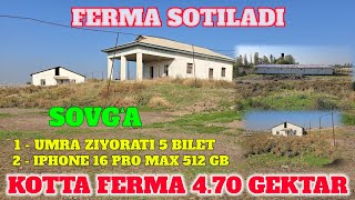 FERMA SOTILADI 470 GEKTAR 60000 XALODILNIK UMRA BILETI 5 TA IPHONE 16 PRO MAX 2 TA KAMENTGA 👍 [upl. by Eutnoj]