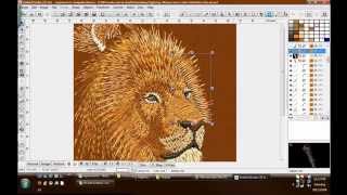 Embird Tutorials Arican Lion done with Embird by Phil [upl. by Yluj101]