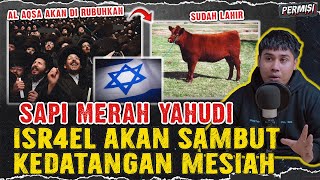 SAPI MERAH BETINA YAHUDI TELAH LAHIR  MASJID ALAQSA AKAN DIRUBUHKAN DAN MESIAH AKAN DATANG [upl. by Epperson]