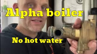 Boiler fault finding🥸No hot water Alpha 32CD [upl. by Eylatan]