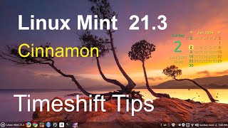 Linux Mint 213  Cinnamon  Timeshift Tips [upl. by Eatnohs]