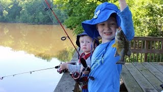 Fishing for bluegill  how to fish for bluegill  bluegill fishing [upl. by Pauiie]