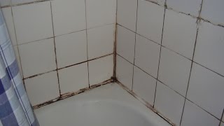 How to cure damp and mould in the bathroom [upl. by Ecirted]