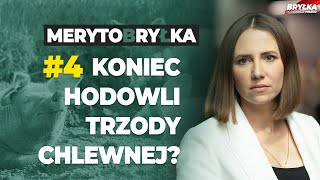 KONIEC HODOWLI TRZODY CHLEWNEJ  MERYTOBRYŁKA 4 [upl. by Vaios108]