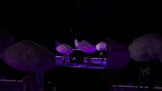 Lavender Haze at Toronto N1 taylorswift erastour concert highlights shorts fyp [upl. by Hopkins]