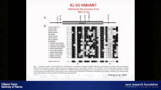 Klotho polymorphisms and longevity a systematic review  Calogero Caruso [upl. by Ilojne]