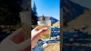 How to make WILD tea follow for more recipes mountains tea cooking hiking kyrgyzstan camping [upl. by Cromwell]