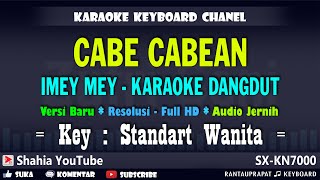 IMEY MEY CABE CABEAN KARAOKE NADA WANITA remix [upl. by Lamaaj452]