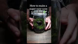 Easy Cave Terrarium [upl. by Aciras]