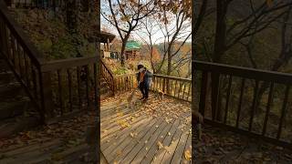 shorts broomsticks witch driedleaves autumn autumncolors doglover mykoreanization [upl. by Restivo]