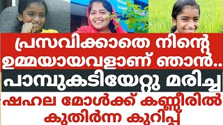 പ്രസവിക്കാതെ നിന്റെ ഉമ്മയായവളാണ് ഞാൻപാമ്പുകടിയേറ്റു മരിച്ച ഷഹല മോൾക്ക് കണ്ണീരിൽ കുതിർന്ന കുറിപ്പ് [upl. by Morell]