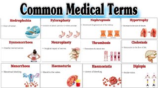 Common Medical Terms  Medical Terminology  Parts2 [upl. by Ylrebnik674]