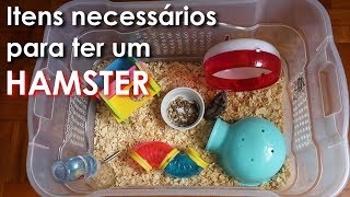 O que comprar antes de ter um hamster [upl. by Carlstrom363]