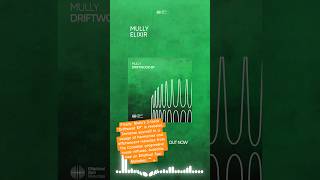 Mully  Elixir  ellipticalsun ellipticalsunmelodies mully [upl. by Zarah]