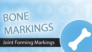 Bone Markings Joint Forming Markings [upl. by Sajet]