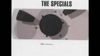 The Specials  Racquel John Peel Sessions 11280 [upl. by Enneirb]