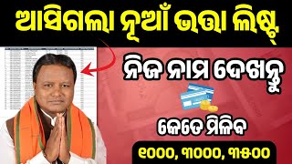 How to Check Pension Scheme List In Odia  Madhubabu Pension Scheme List  Ama Gaan Guru [upl. by Zubkoff]