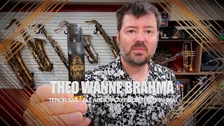 Testing Out Theo Wanne Brahma Tenor Saxophone [upl. by Mellins]