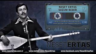 Neşet Ertaş  Suçum Nedir [upl. by Arodoet]