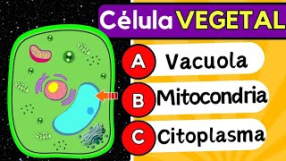 🧬🧠 Examen de la célula VEGETAL 🌱 🤔¿Sabes Identificar los ORGANELOS de la CÉLULA💡 Examen UNAM🔬🧬 [upl. by Alian]