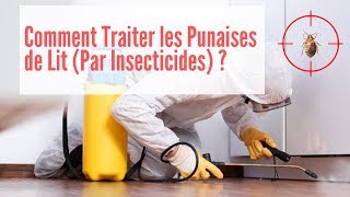 Comment Traiter les Punaises de Lit  Punaise de Lit Traitement [upl. by Elakram]