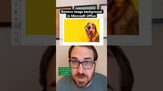 How to remove image background in Microsoft Office products like Excel Word PowerPoint or Outlook [upl. by Jamil]