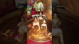 Laddu Gopal morning snan short 📷laddugopal krishna ytshorts shorts viralvideo kanha trending [upl. by Verner]