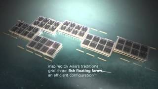 SMART FLOATING FARMS [upl. by Gronseth188]