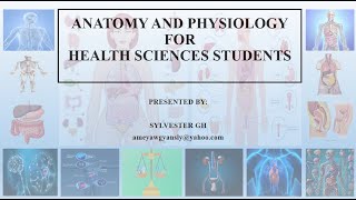 ANATOMICAL POSITION ANATOMICAL PLANES DIRECTIONAL TERMS IN ANATOMY ABDOMINAL QUADRANTS amp REGIONS [upl. by Apul]