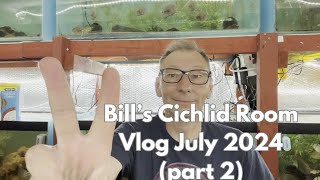 Bills Cichlid Room Vlog July 2024 Part 2 [upl. by Reede]