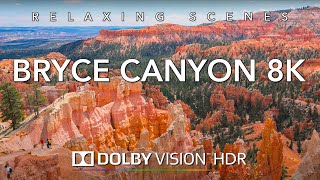 Driving Canyonlands National Park in 8K HDR Dolby Vision  Moab to Canyonlands Utah [upl. by Nrol428]