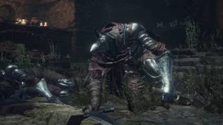 Dark Souls 3  Black Knight vs Abyss Watchers [upl. by Hartzel]