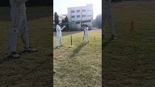 Dad and sons cricket cricket cricketfielding fitness song [upl. by Ahsyekal860]