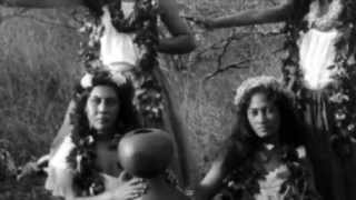 Hula Preserving Native Hawaiian Language and Culture [upl. by Yevette]