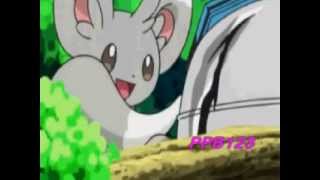 Emolga X Minccino Amv Sugar nightcore [upl. by Osber]