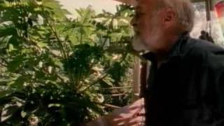 Global Gardener  Permaculture with Bill Mollison Bullfrog Films clip [upl. by Balcke]