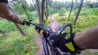 TRASY DLA DZIKÓW I BIKEPARK DZIKOWIEC [upl. by Reel]